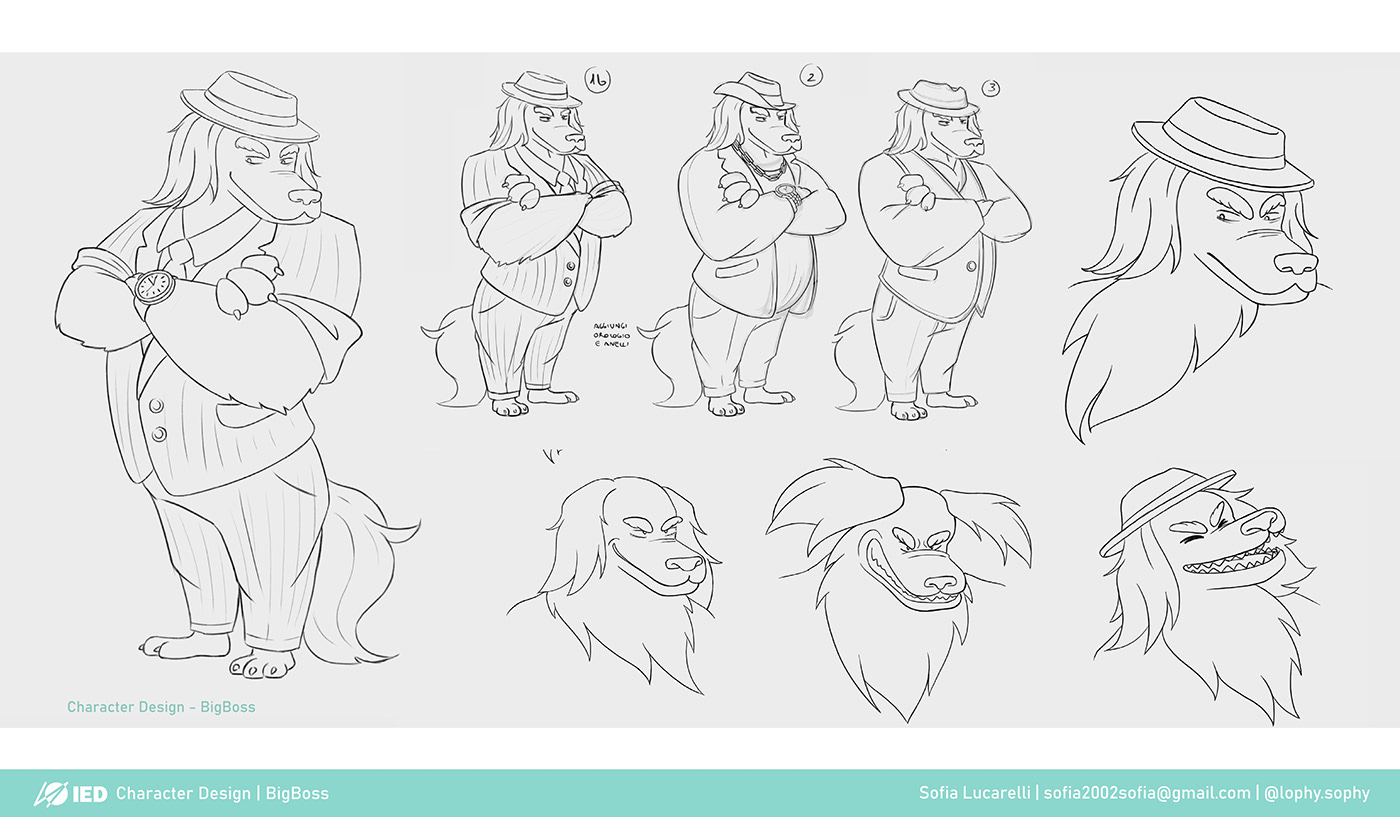 Visual development board 08
